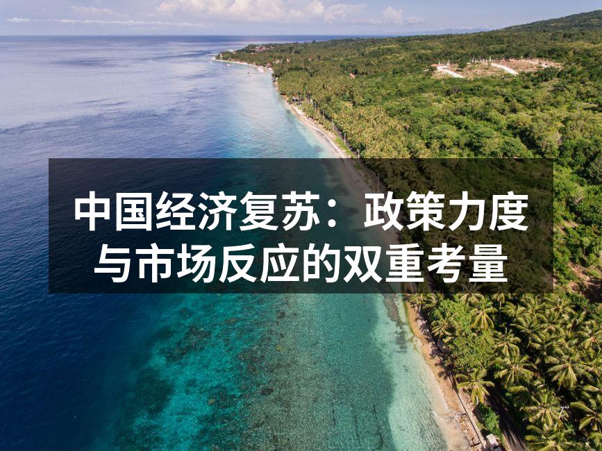 中国经济复苏：政策力度与市场反应的双重考量