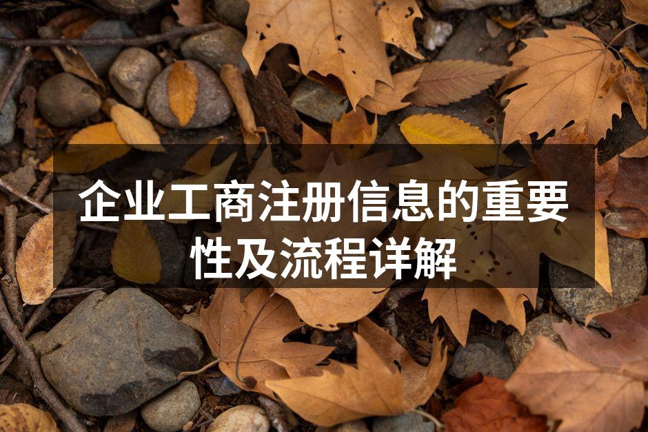 企业工商注册信息的重要性及流程详解